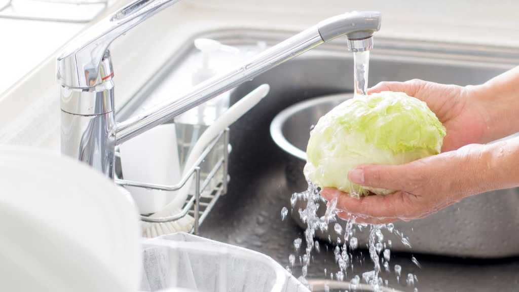 A photograph of a person washing a head of lettuce.